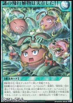 画像1: 【レア】謎の飛行植物は実在した！！