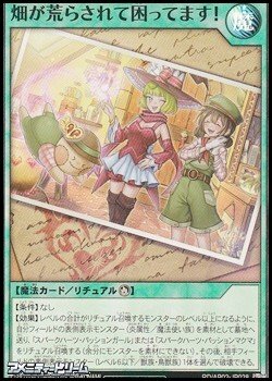 画像1: 【スーパーレア】畑が荒らされて困ってます！