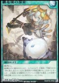 【レア】纏竜域の探索