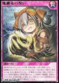【レア】魔纏竜の呪い