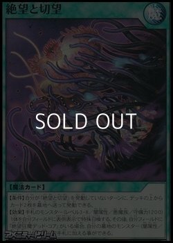 画像1: 【ノーマル】絶望と切望