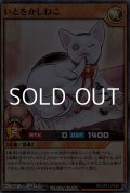 【スーパーレア】いとをかしねこ