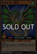 【ノーマル】凶頭を持つ邪竜
