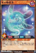 【ノーマル】星の精霊虫