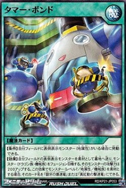 画像1: 【ノーマル】タマー・ボンド