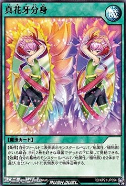 画像1: 【ノーマル】真花牙分身
