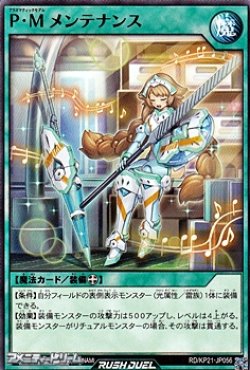 画像1: 【ノーマル】Ｐ・Ｍ メンテナンス