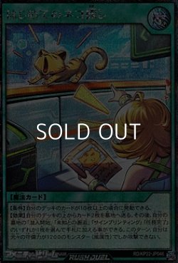 画像1: 【シークレットレア】はじめてのネコ探し