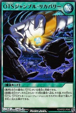 画像1: 【レア】OTSジャンブル・リカバリー