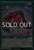 【レア】セレブラウス・デスワンショルダー
