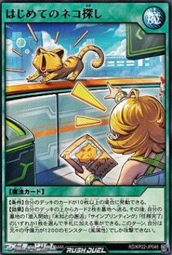 画像1: 【レア】はじめてのネコ探し
