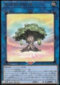 【レア】聖天樹の幼精