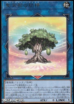 画像1: 【レア】聖天樹の幼精