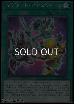 画像1: 【ノーマル】マグネット・インダクション