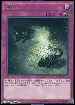 画像1: 【レア】量子猫