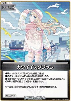 画像1: 【C】カワイイスタジャン