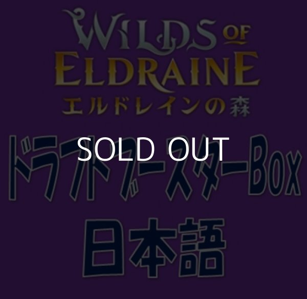 画像1: 【日本語】エルドレインの森 ドラフトブースターBox (1)