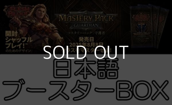 画像1: (予約)【日本語】【Flesh and Blood TCG】マスタリーパック：守護者 ブースターBOX (1)