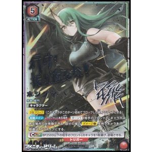 画像: 【☆☆パラレル】ホシグマ