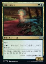 画像: 【日本語Foil】川ヤツガシラ/River Hoopoe