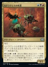 画像: 【日本語Foil】セドラクシスの死霊/Sedraxis Specter