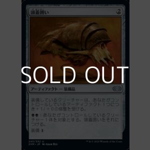 画像: 【日本語】頭蓋囲い/Cranial Plating