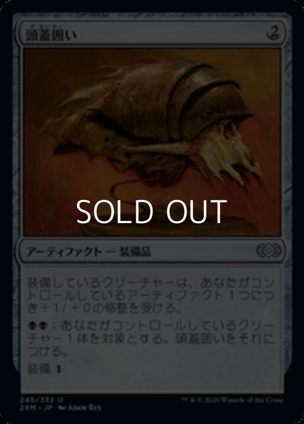 画像1: 【日本語】頭蓋囲い/Cranial Plating (1)