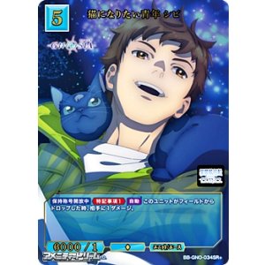 画像: 【SR+】猫になりたい青年 シピ