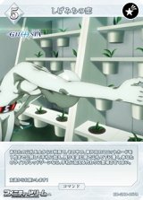 画像: 【R】しげみちの恋