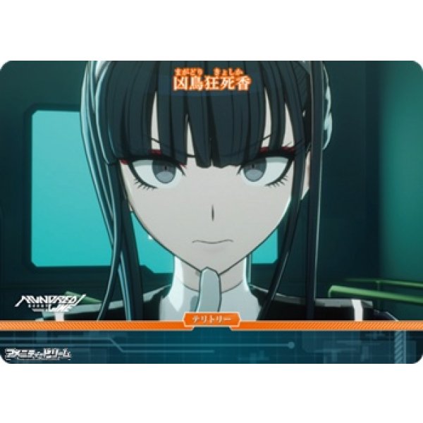 画像2: 【N】「“極限”と“絶望”」の100日戦争 / 凶鳥狂死香 (2)