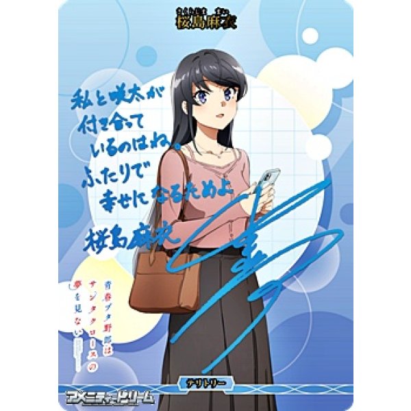 画像1: 【BT】青春ブタ野郎はサンタクロースの夢を見ない / 桜島麻衣 (1)