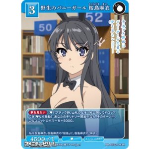 画像: 【R】野生のバニーガール 桜島麻衣