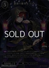 画像: 【R】薔薇の優等生 リドル