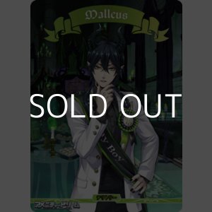 画像: 【BT】茨の魔女の高尚な精神 ディアソムニア寮 / Malleus