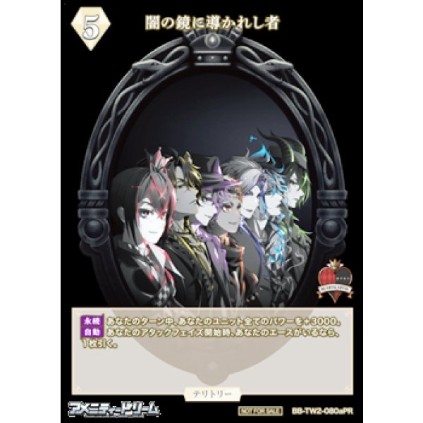 画像2: 【PR】闇の鏡に導かれし者 / リドル・ローズハート (2)
