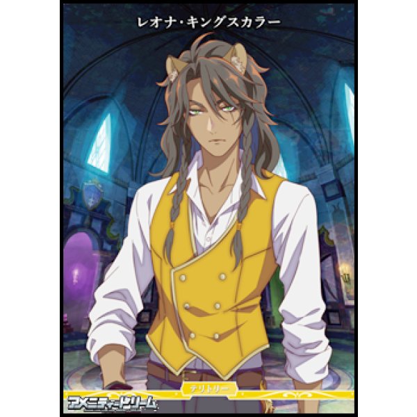 画像1: 【PR+】闇の鏡に導かれし者 / レオナ・キングスカラー (1)