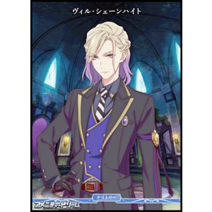 画像: 【PR+】闇の鏡に導かれし者 / ヴィル・シェーンハイト
