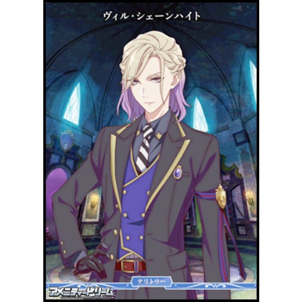 画像1: 【PR+】闇の鏡に導かれし者 / ヴィル・シェーンハイト (1)