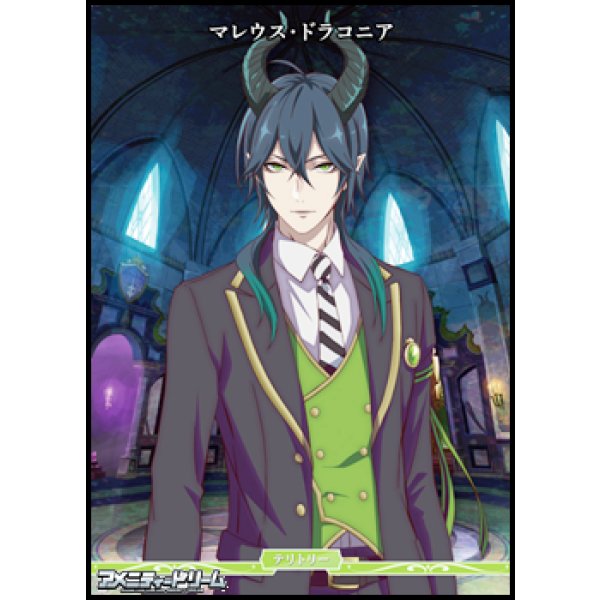 画像1: 【PR+】闇の鏡に導かれし者 / マレウス・ドラコニア (1)