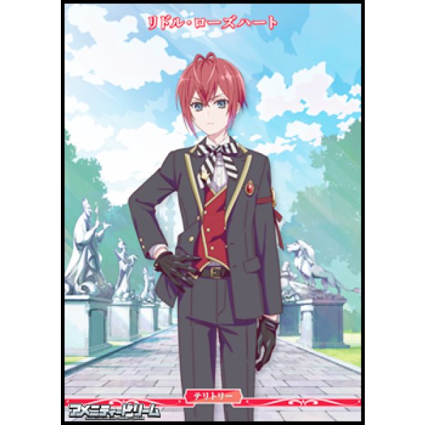 画像1: 【PR】闇の鏡に導かれし者 / リドル・ローズハート (1)