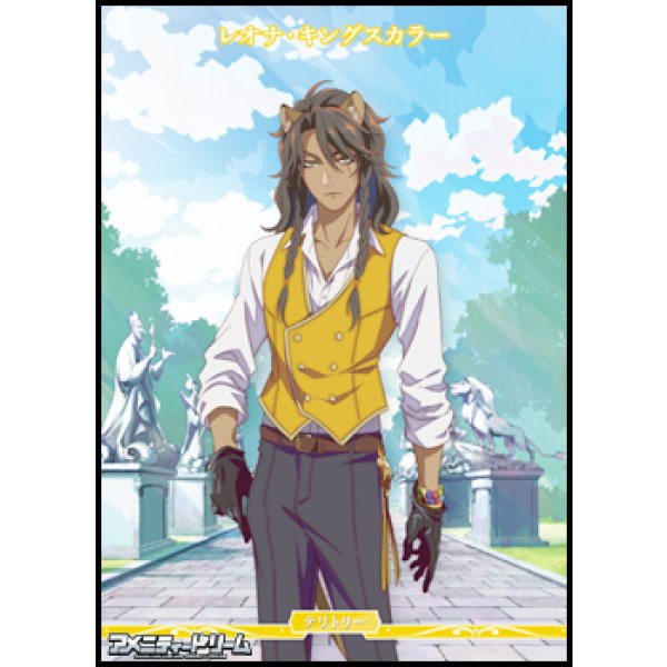 画像1: 【PR】闇の鏡に導かれし者 / レオナ・キングスカラー (1)