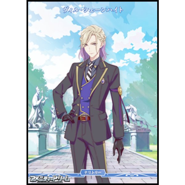 画像1: 【PR】闇の鏡に導かれし者 / ヴィル・シェーンハイト (1)