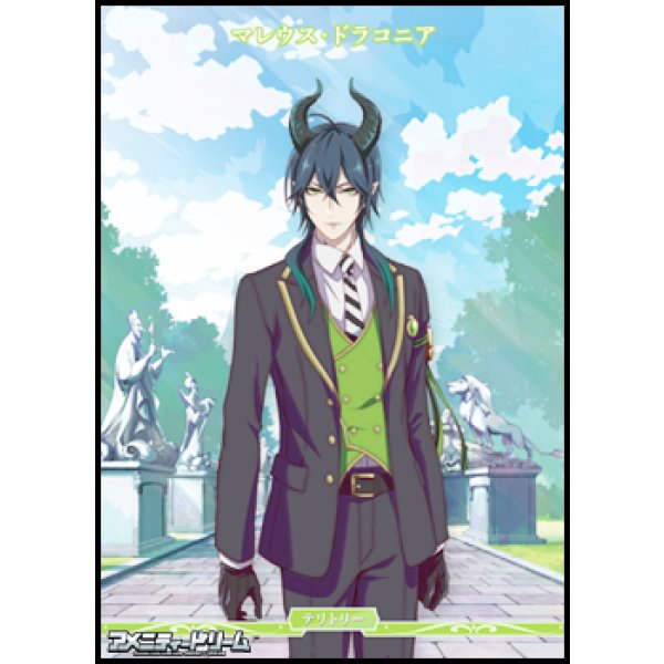 画像1: 【PR】闇の鏡に導かれし者 / マレウス・ドラコニア (1)