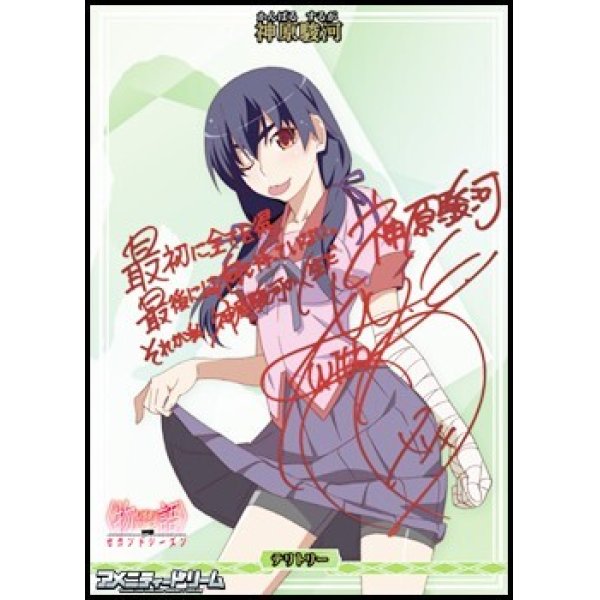 画像1: 【BT】独白と告白、そして別れ。 / 神原駿河 (1)
