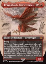 画像: ☆特殊枠【英語】運命の大嵐、ドラゴンホーク/Dragonhawk, Fate's Tempest