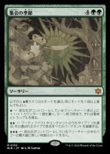 画像: 【日本語】集会の季節/Season of Gathering