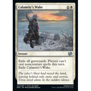 画像: 【英語】災厄の痕跡/Calamity's Wake