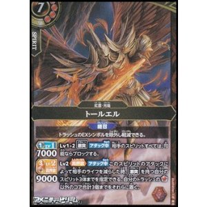 画像: 【M】トールエル
