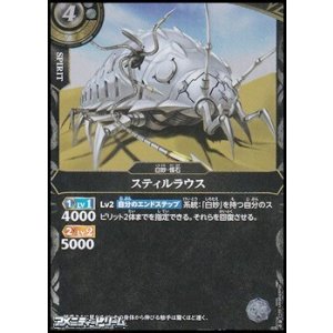 画像: 【R】スティルラウス