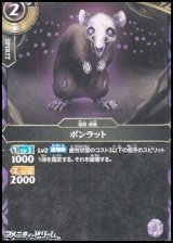 画像: 【C】ボンラット